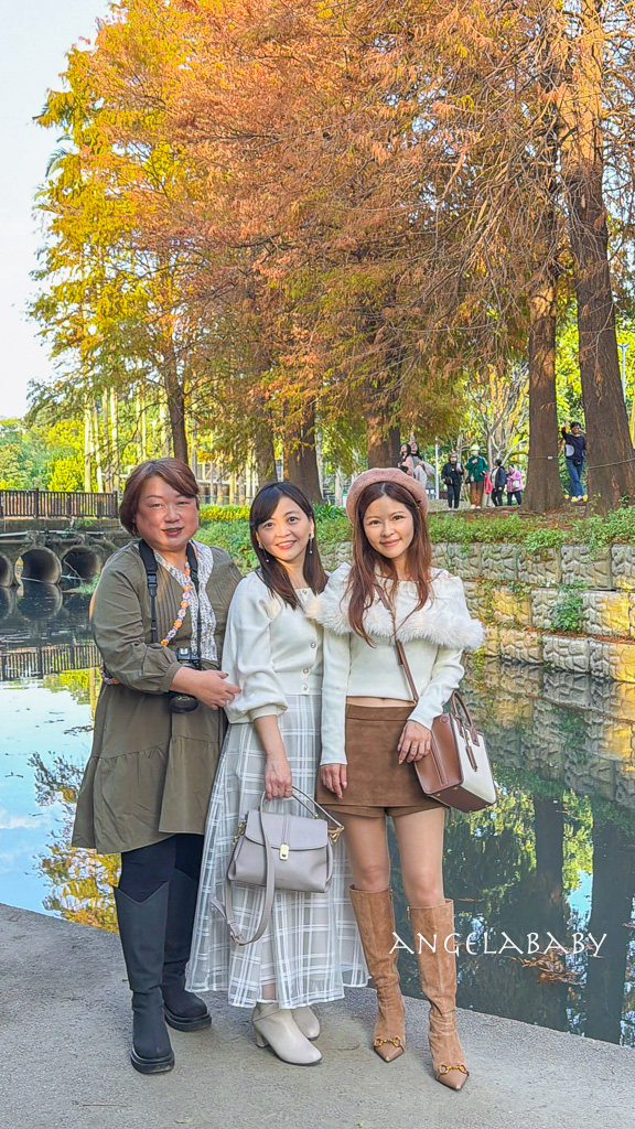 台北落羽松秘境｜士林官邸公園、落羽松步道 @梅格(Angelababy)享樂日記