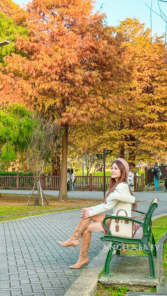 台北落羽松秘境｜士林官邸公園、落羽松步道 @梅格(Angelababy)享樂日記