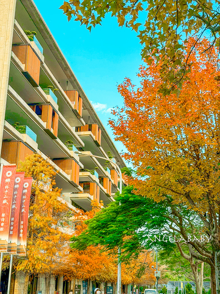 台北落羽松秘境｜士林官邸公園、落羽松步道 @梅格(Angelababy)享樂日記