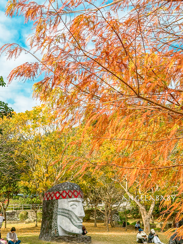 台北免費落羽松『原住民文化主題公園』交通方式、故宮旁的落羽松公園 @梅格(Angelababy)享樂日記
