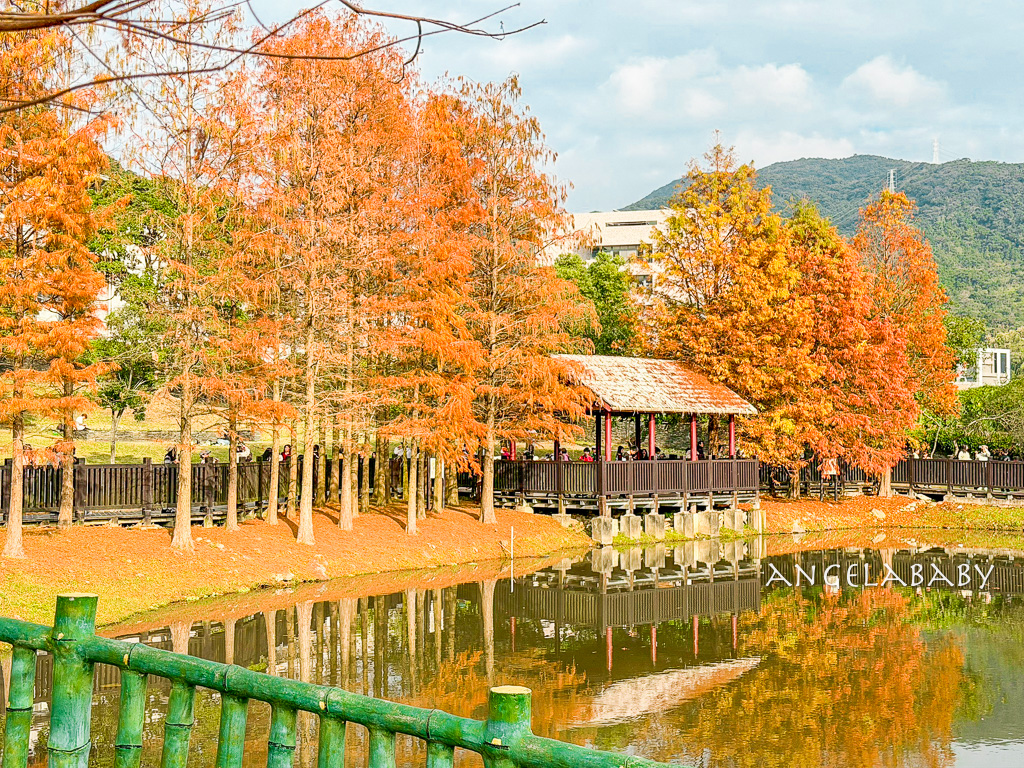 台北免費落羽松『原住民文化主題公園』交通方式、故宮旁的落羽松公園 @梅格(Angelababy)享樂日記 台北免費落羽松『原住民文化主題公園』交通方式、故宮旁的落羽松公園 @梅格(Angelababy)享樂日記