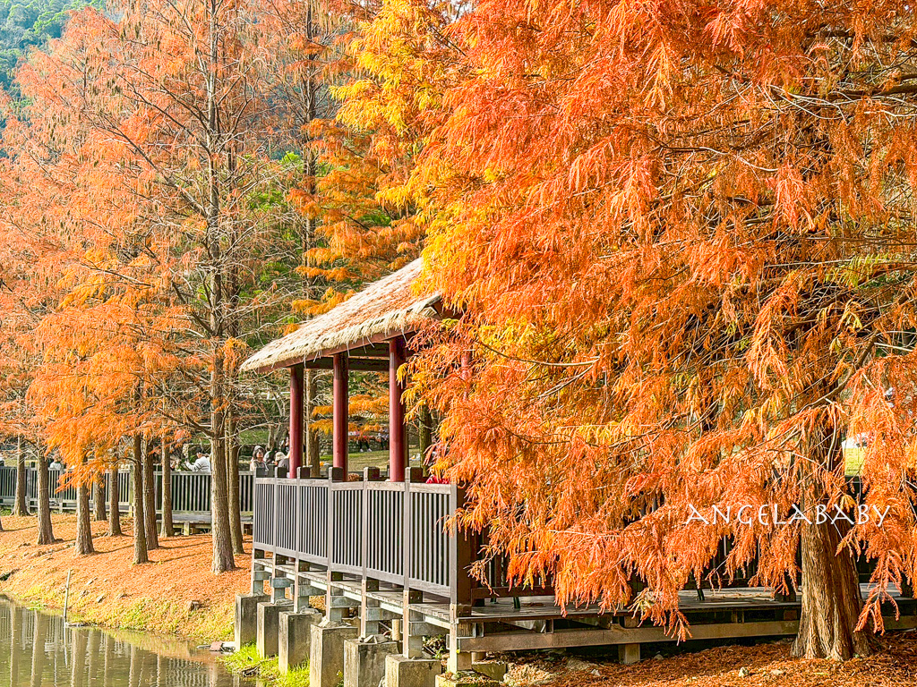三重最好吃的炒羊肉『吵三小羊肉專賣』菜單價格 @梅格(Angelababy)享樂日記