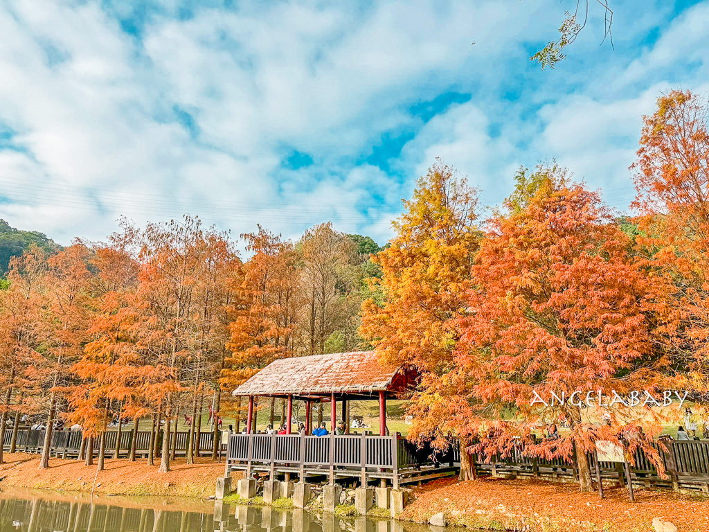 台北免費落羽松『原住民文化主題公園』交通方式、故宮旁的落羽松公園 @梅格(Angelababy)享樂日記 台北免費落羽松『原住民文化主題公園』交通方式、故宮旁的落羽松公園 @梅格(Angelababy)享樂日記