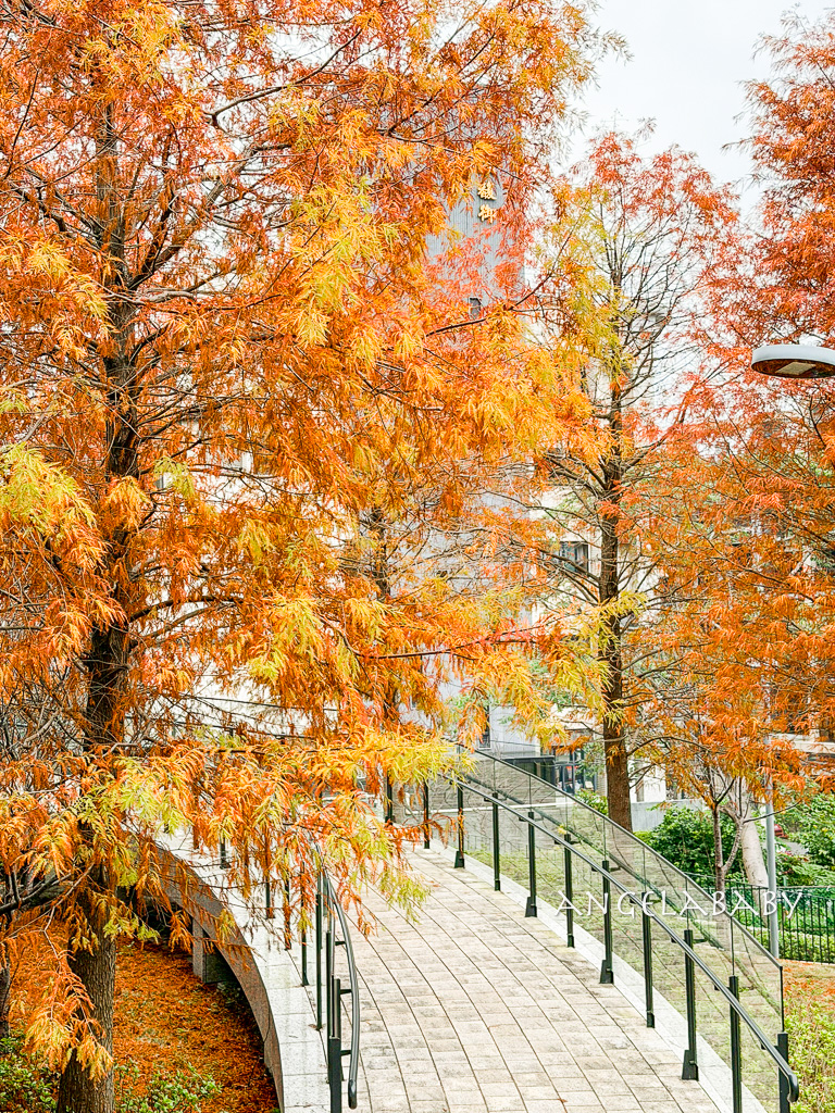 北投落羽松景點「行天宮北投分宮」交通？落羽松窗景圖書館 @梅格(Angelababy)享樂日記