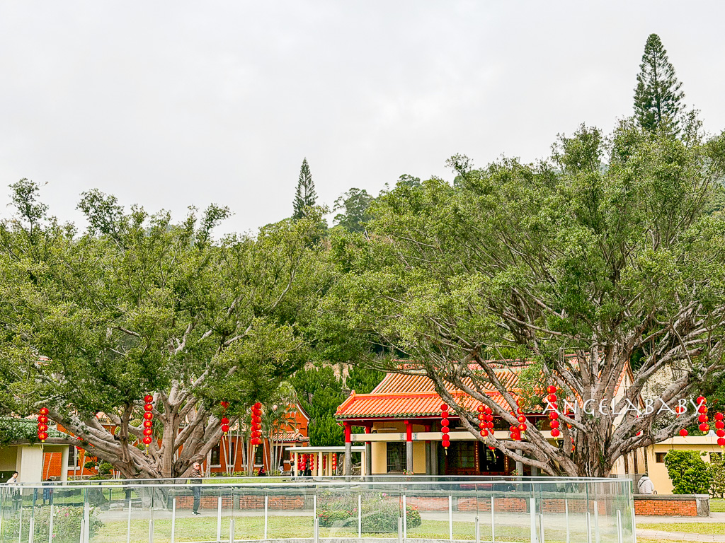 北投落羽松景點「行天宮北投分宮」交通？落羽松窗景圖書館 @梅格(Angelababy)享樂日記