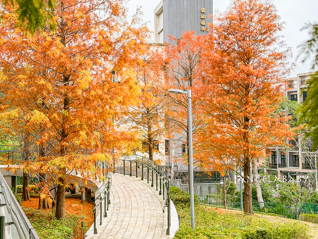 北投落羽松景點「行天宮北投分宮」交通？落羽松窗景圖書館 @梅格(Angelababy)享樂日記