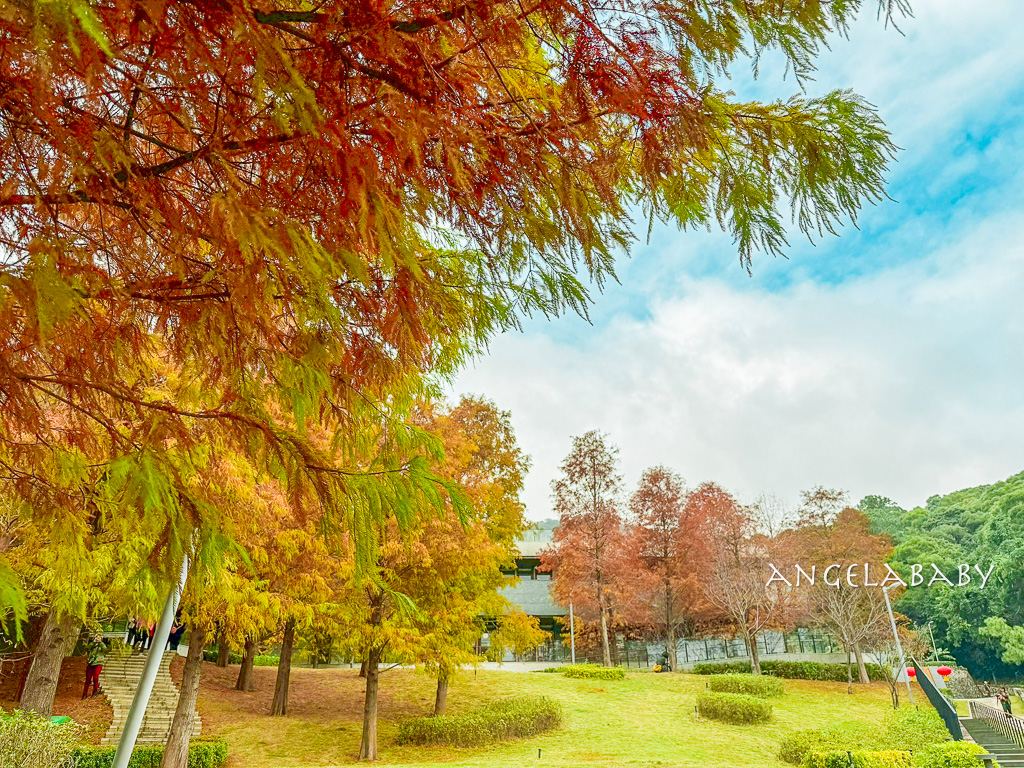 北投落羽松景點「行天宮北投分宮」交通？落羽松窗景圖書館 @梅格(Angelababy)享樂日記