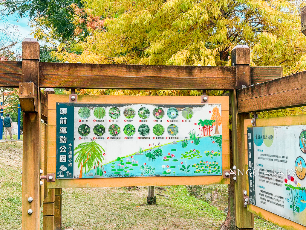 新莊落羽松秘境『頭前運動公園』交通、新莊免費景點 @梅格(Angelababy)享樂日記
