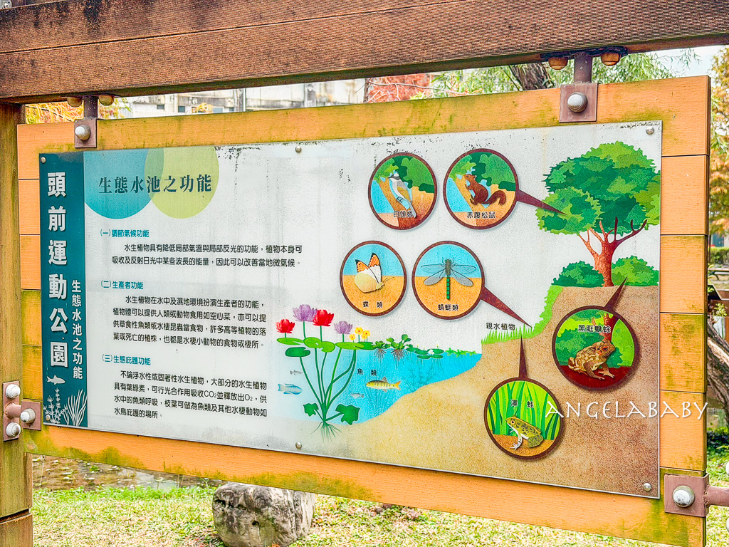 新莊落羽松秘境『頭前運動公園』交通、新莊免費景點 @梅格(Angelababy)享樂日記