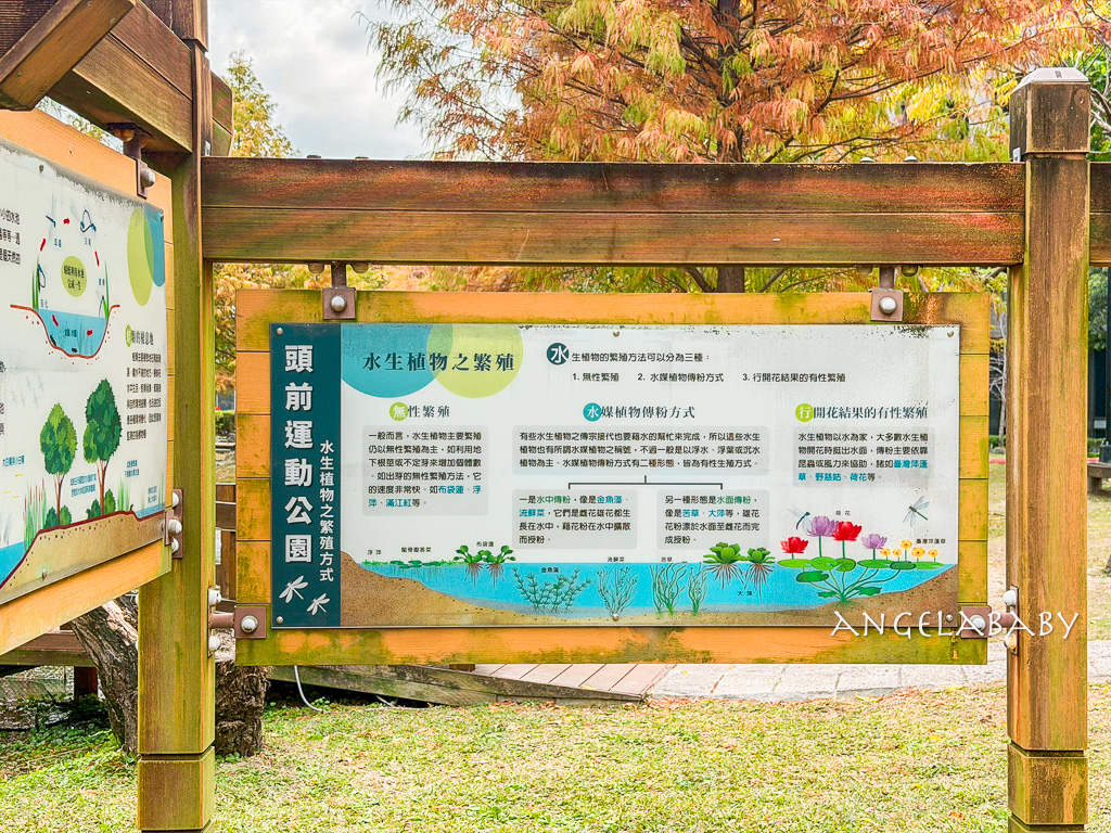 新莊落羽松秘境『頭前運動公園』交通、新莊免費景點 @梅格(Angelababy)享樂日記