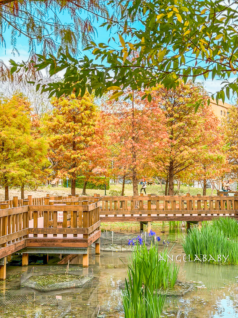 新莊落羽松秘境『頭前運動公園』交通、新莊免費景點 @梅格(Angelababy)享樂日記
