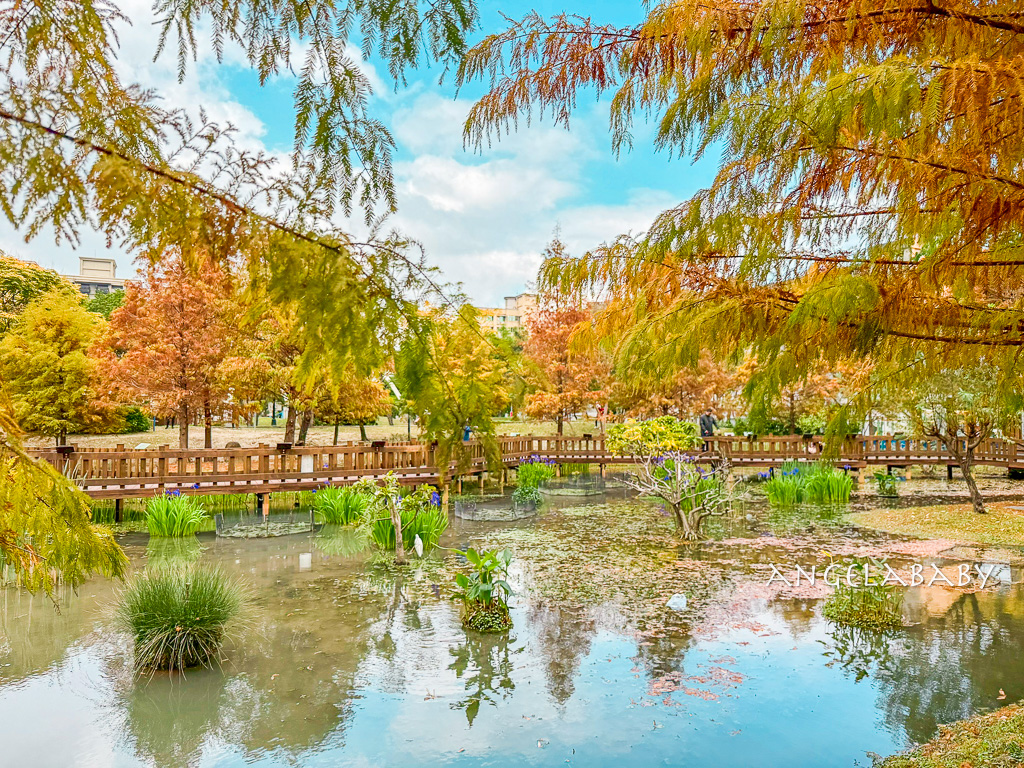 新莊落羽松秘境『頭前運動公園』交通、新莊免費景點 @梅格(Angelababy)享樂日記