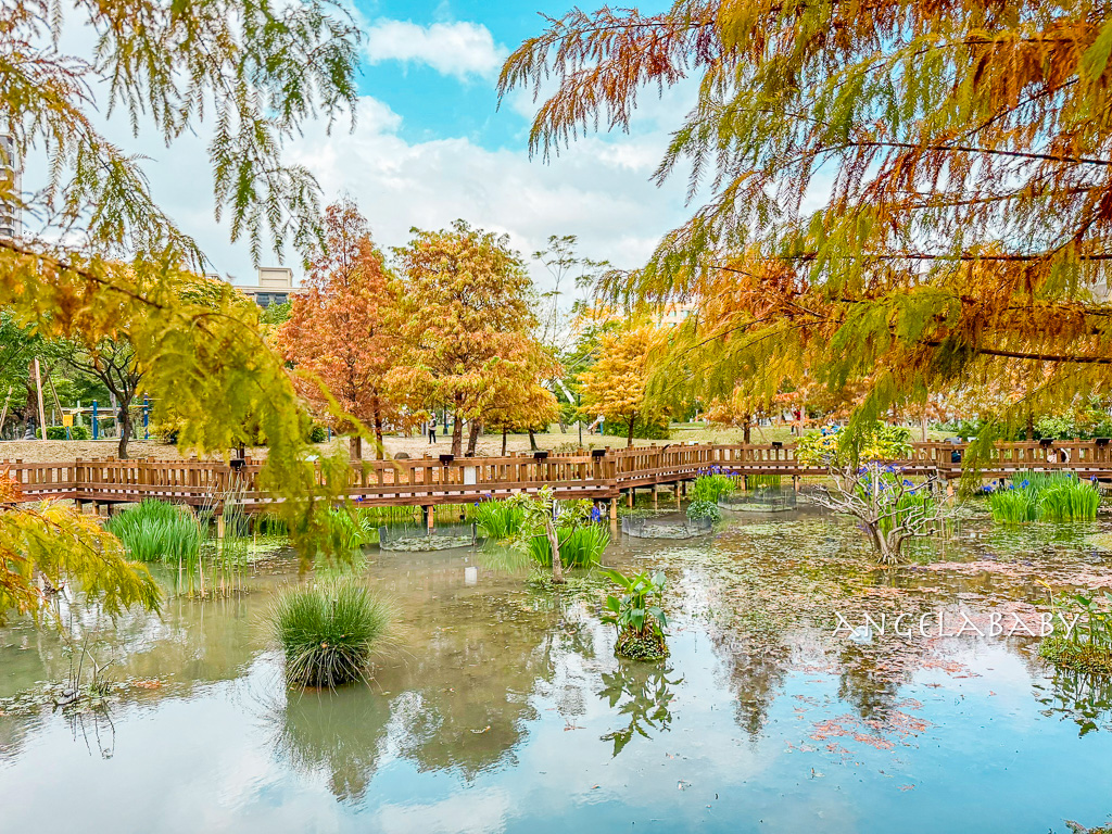 新莊落羽松秘境『頭前運動公園』交通、新莊免費景點 @梅格(Angelababy)享樂日記