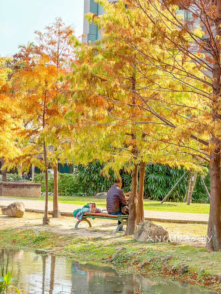 新莊落羽松秘境『頭前運動公園』交通、新莊免費景點 @梅格(Angelababy)享樂日記