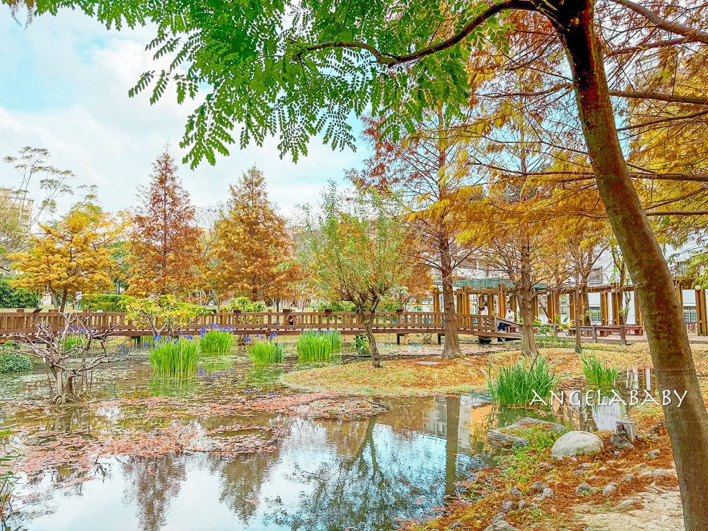 新莊落羽松秘境『頭前運動公園』交通、新莊免費景點 @梅格(Angelababy)享樂日記
