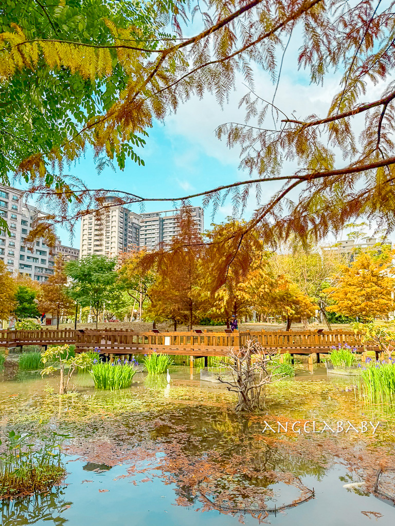 新莊落羽松秘境『頭前運動公園』交通、新莊免費景點 @梅格(Angelababy)享樂日記