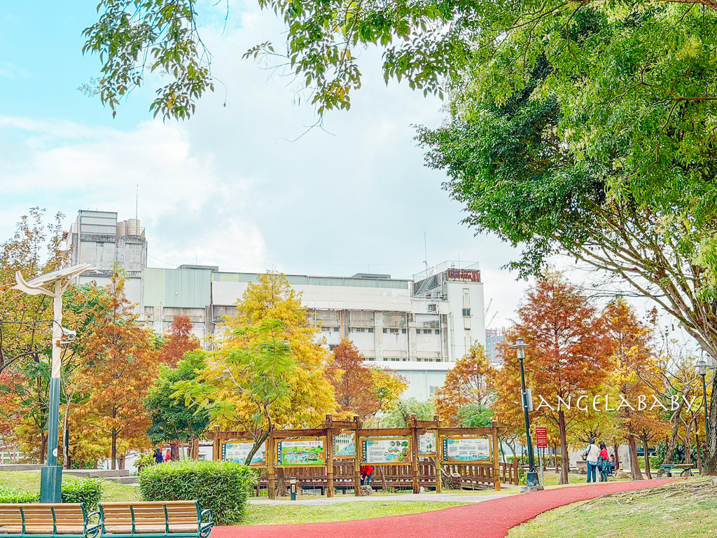 新莊落羽松秘境『頭前運動公園』交通、新莊免費景點 @梅格(Angelababy)享樂日記
