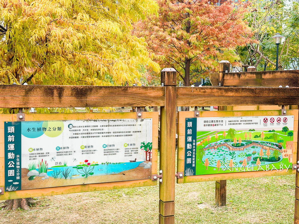 新莊落羽松秘境『頭前運動公園』交通、新莊免費景點 @梅格(Angelababy)享樂日記