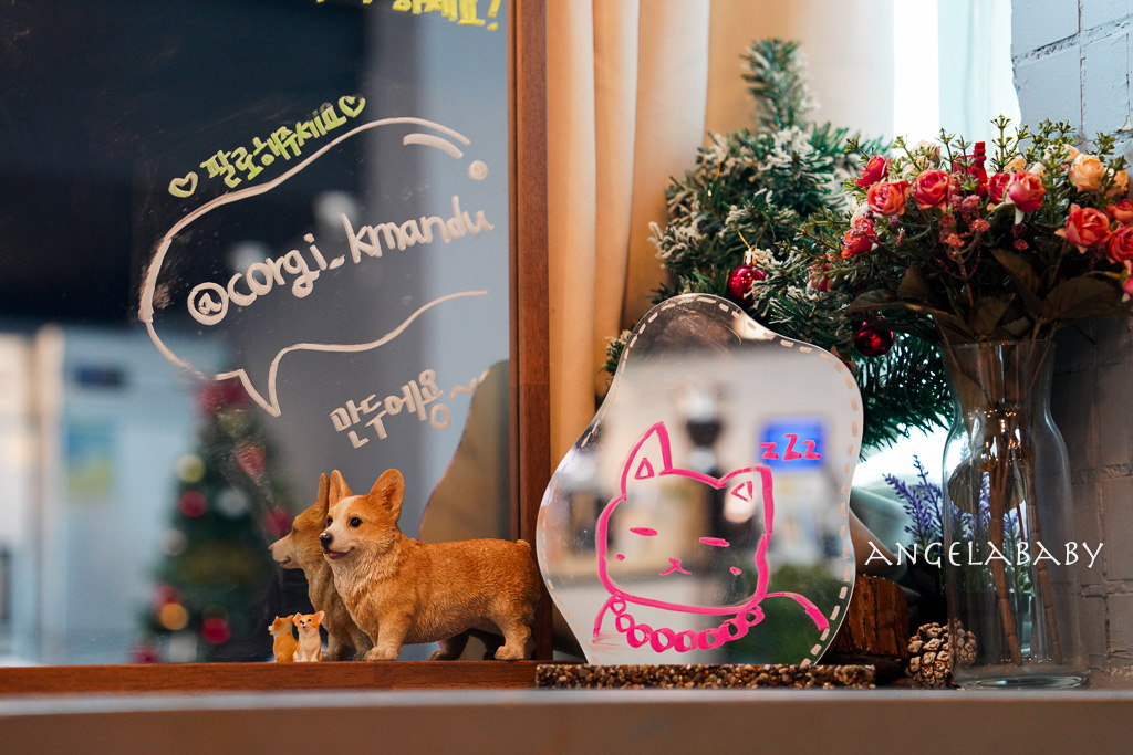 南浦洞咖啡廳『더타임나우&nbsp;The Time Now』超萌科基狗狗的主題咖啡 @梅格(Angelababy)享樂日記