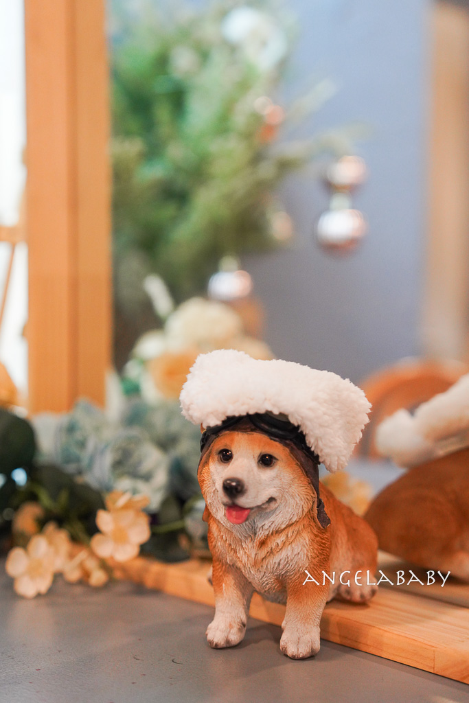 南浦洞咖啡廳『더타임나우&nbsp;The Time Now』超萌科基狗狗的主題咖啡 @梅格(Angelababy)享樂日記