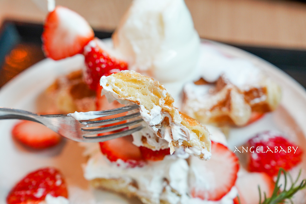 南浦洞咖啡廳『더타임나우&nbsp;The Time Now』超萌科基狗狗的主題咖啡 @梅格(Angelababy)享樂日記