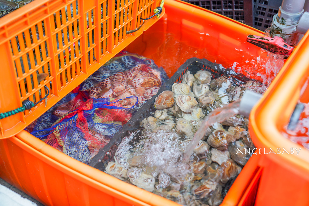 萬里龜吼漁港吃海鮮推薦『巧晏漁坊』菜單、活跳跳吃得到大海的味道 @梅格(Angelababy)享樂日記