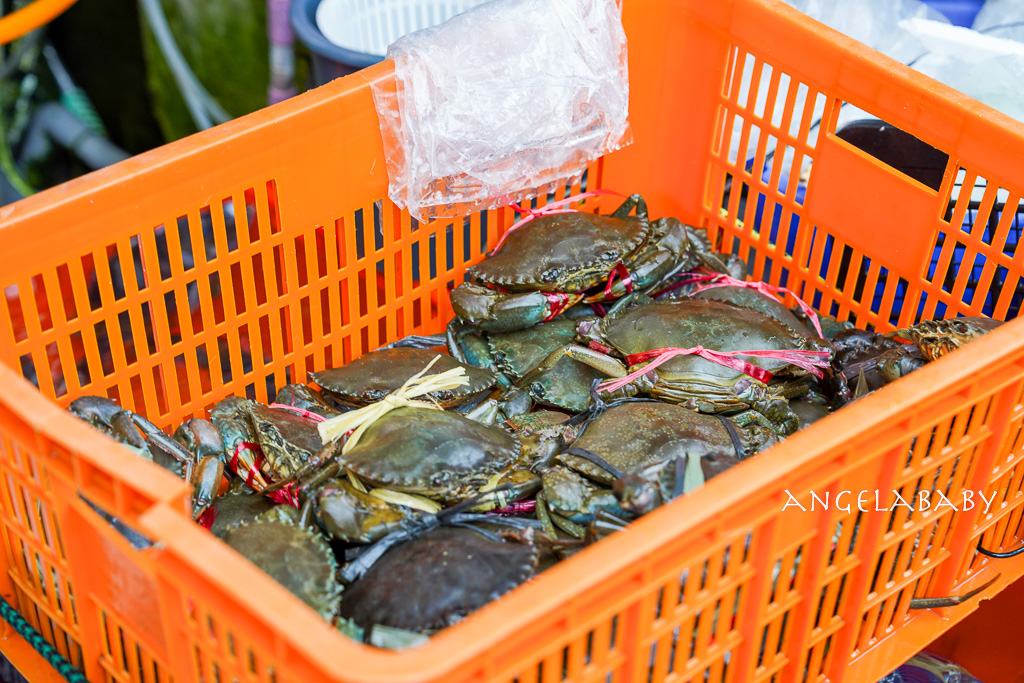 萬里龜吼漁港吃海鮮推薦『巧晏漁坊』菜單、活跳跳吃得到大海的味道 @梅格(Angelababy)享樂日記 萬里龜吼漁港吃海鮮推薦『巧晏漁坊』菜單、活跳跳吃得到大海的味道 @梅格(Angelababy)享樂日記
