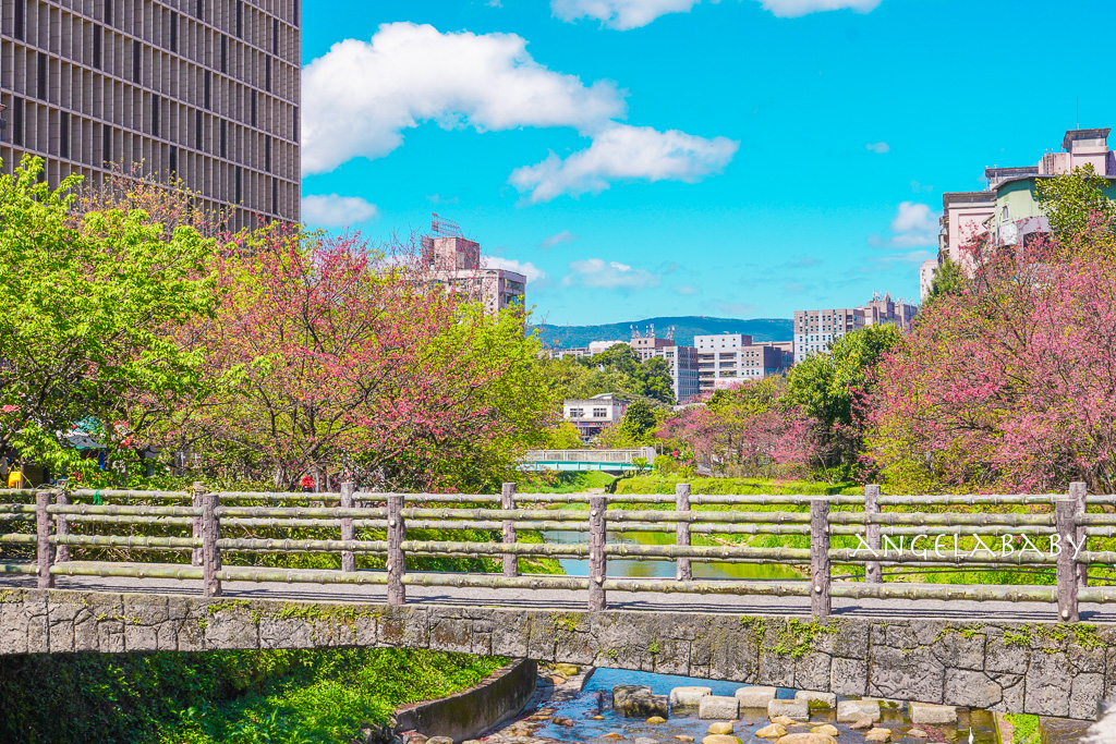 台北賞櫻推薦『康誥坑溪櫻花大道』櫻花步道、火車汐科站走路5分鐘 @梅格(Angelababy)享樂日記