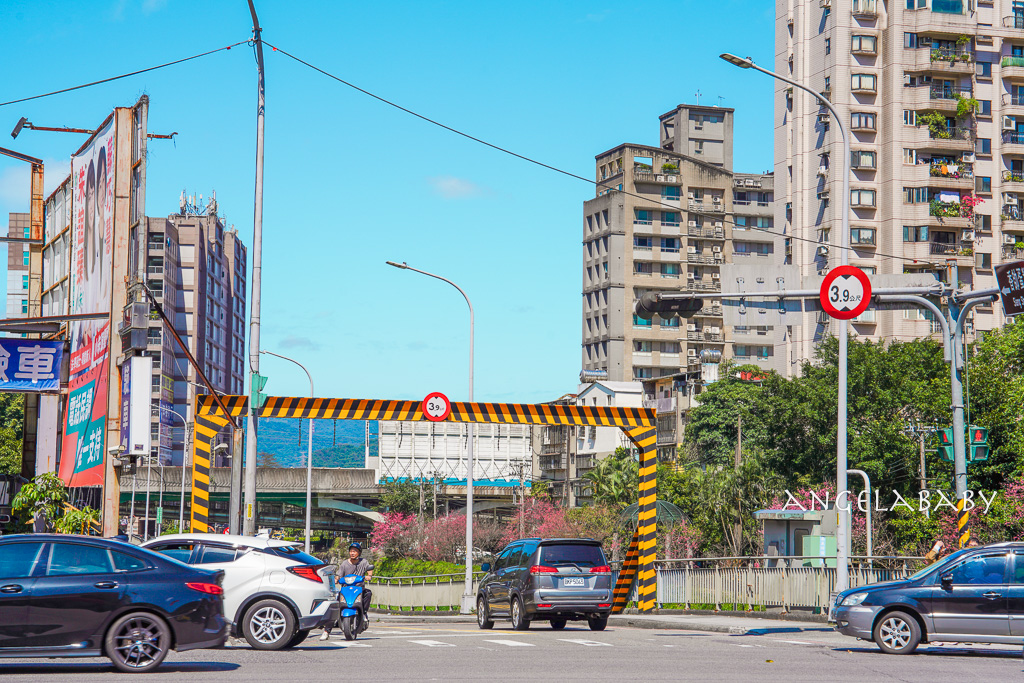 台北賞櫻推薦『康誥坑溪櫻花大道』櫻花步道、火車汐科站走路5分鐘 @梅格(Angelababy)享樂日記
