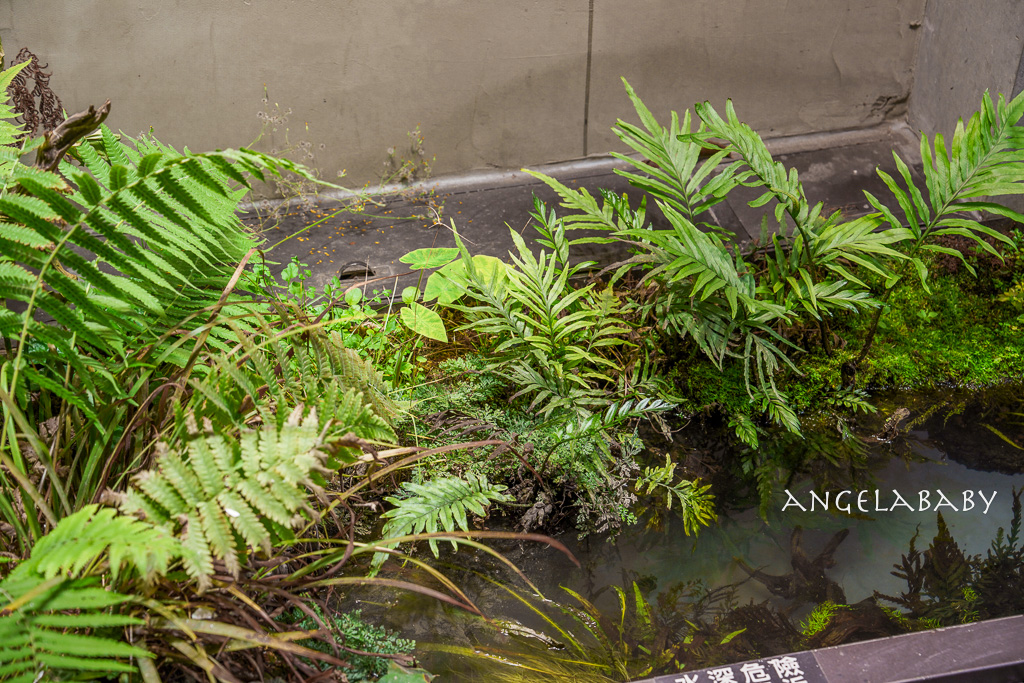 大安站森林系咖啡『Brekkie』菜單、超好吃巴斯克、質感早午餐推薦 @梅格(Angelababy)享樂日記