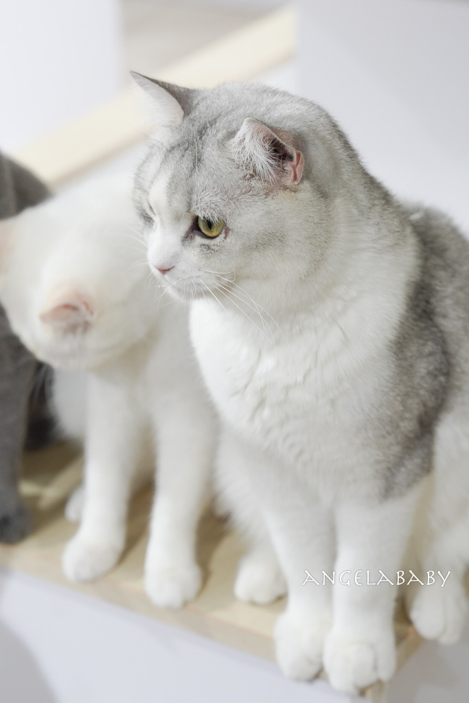 苗栗一日遊推薦|新景點苗栗火車頭園區鐵道迷不容錯過、2026春遊苗栗 參加『愛玩苗栗』抽大獎 @梅格(Angelababy)享樂日記 苗栗一日遊推薦|新景點苗栗火車頭園區鐵道迷不容錯過、2026春遊苗栗 參加『愛玩苗栗』抽大獎 @梅格(Angelababy)享樂日記