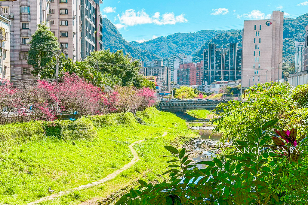 台北賞櫻推薦『康誥坑溪櫻花大道』櫻花步道、火車汐科站走路5分鐘 @梅格(Angelababy)享樂日記 台北賞櫻推薦『康誥坑溪櫻花大道』櫻花步道、火車汐科站走路5分鐘 @梅格(Angelababy)享樂日記