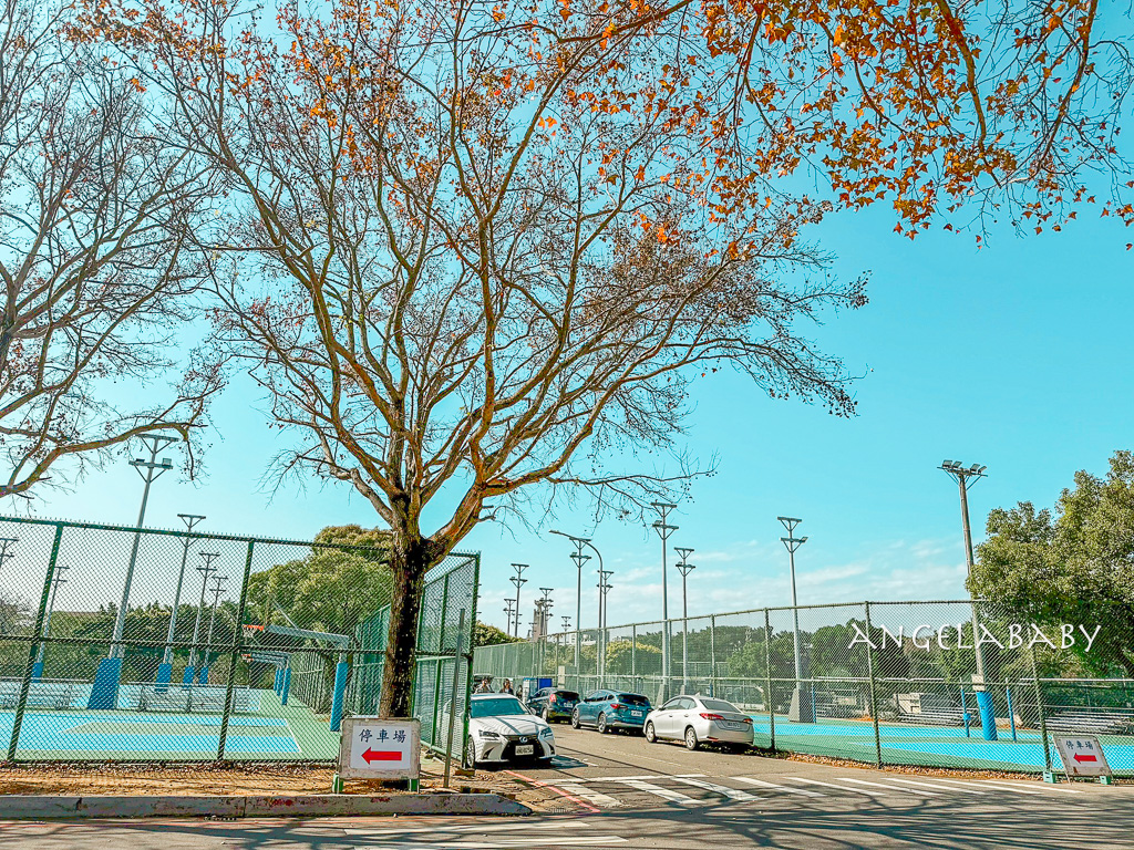 新竹景點『國立陽明交通大學落羽松』落羽松秘境推薦 @梅格(Angelababy)享樂日記