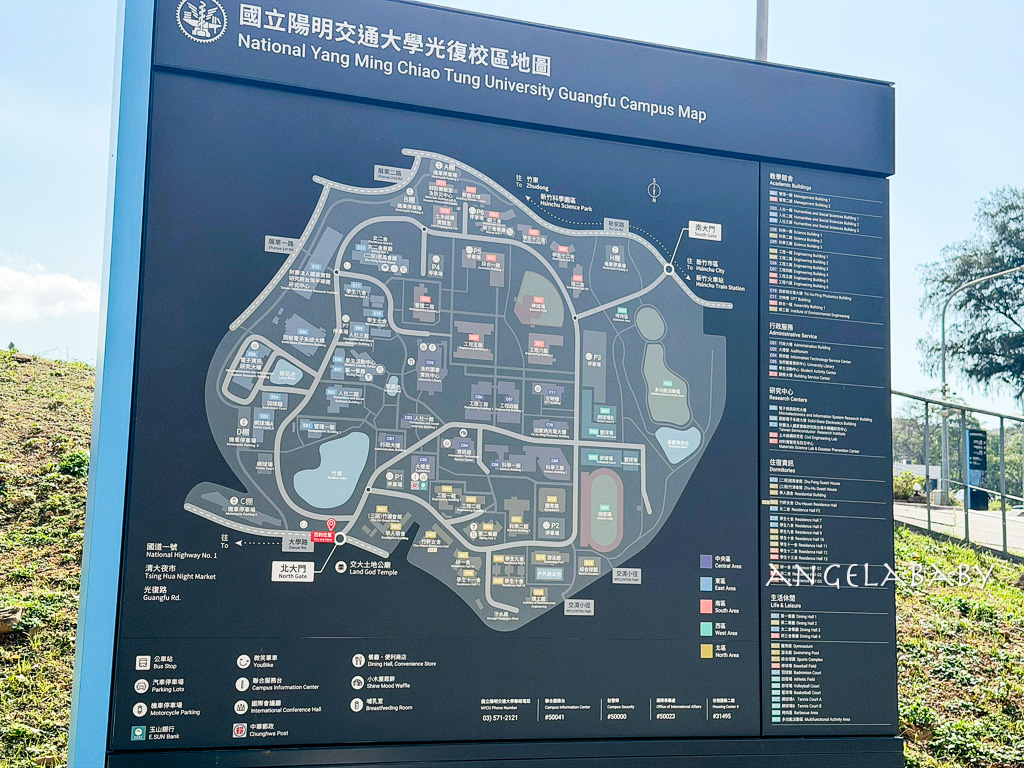 新竹景點『國立陽明交通大學落羽松』落羽松秘境推薦 @梅格(Angelababy)享樂日記