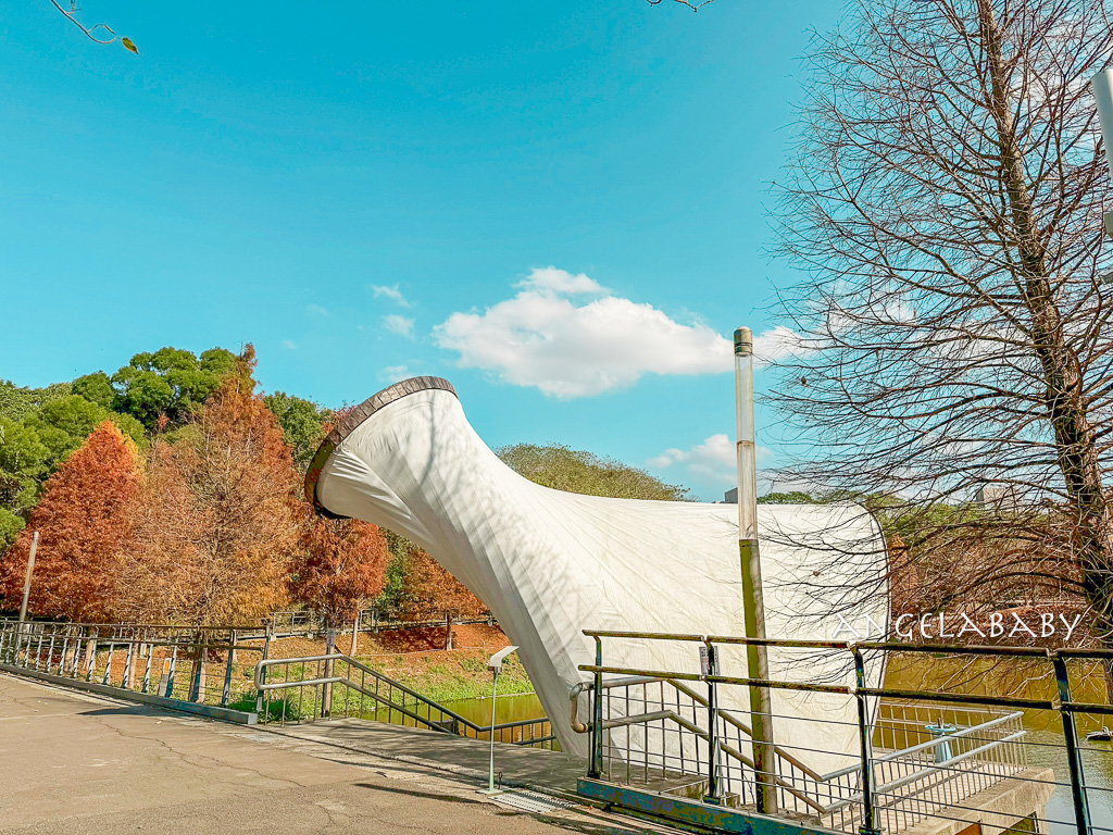 新竹景點『國立陽明交通大學落羽松』落羽松秘境推薦 @梅格(Angelababy)享樂日記