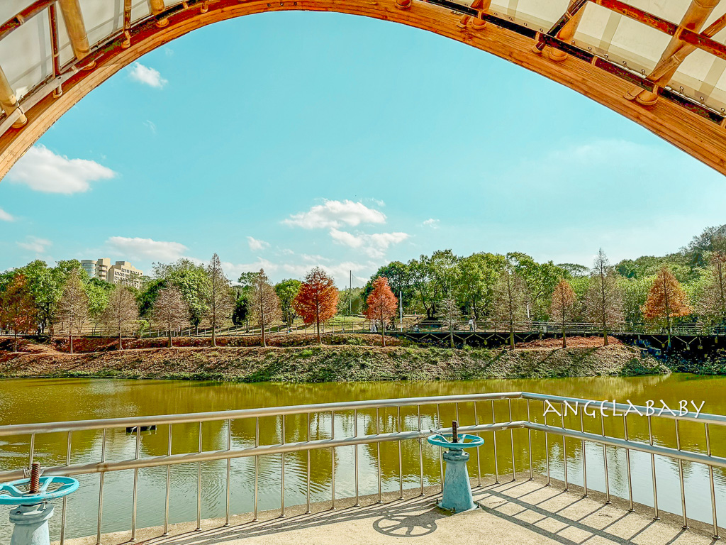 新竹景點『國立陽明交通大學落羽松』落羽松秘境推薦 @梅格(Angelababy)享樂日記