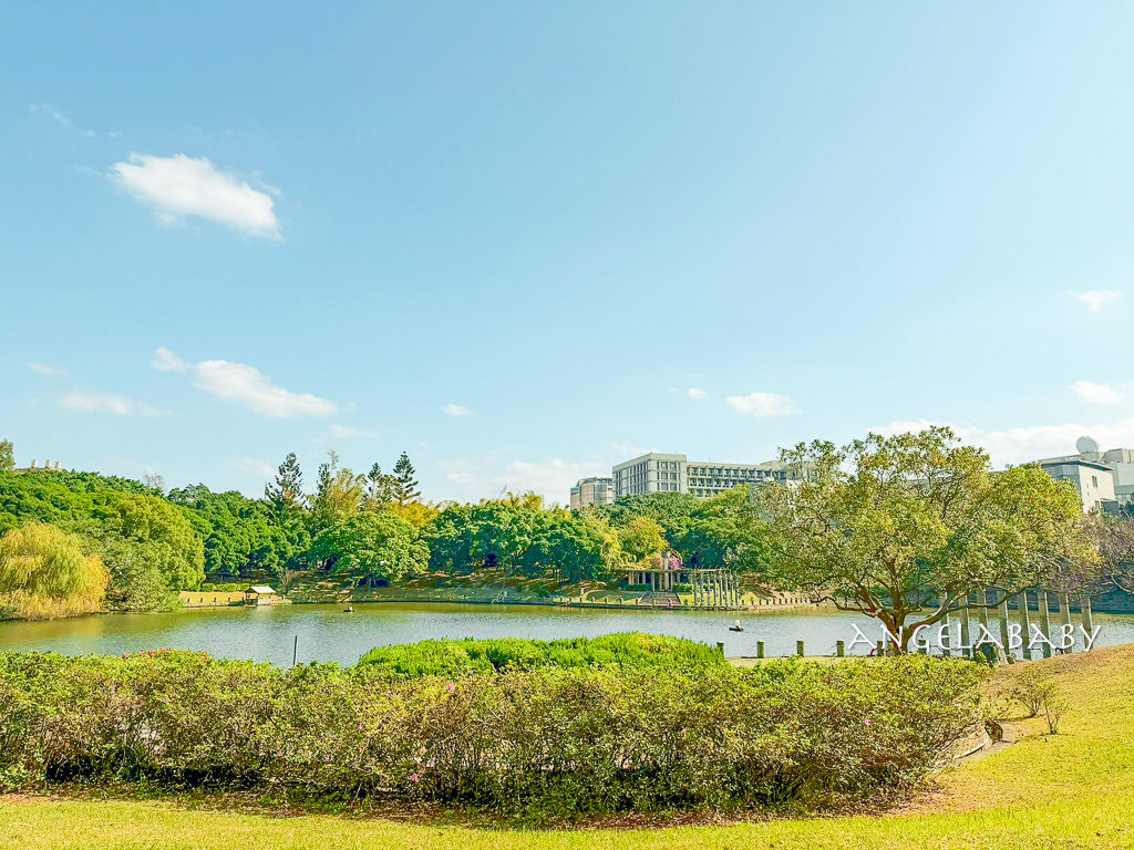 新竹景點『國立陽明交通大學落羽松』落羽松秘境推薦 @梅格(Angelababy)享樂日記