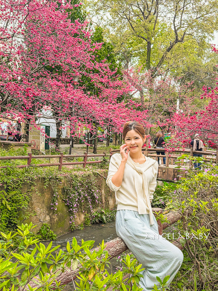 桃園賞櫻『莒光環保公園』櫻花公園、近中壢火車站 @梅格(Angelababy)享樂日記 桃園賞櫻『莒光環保公園』櫻花公園、近中壢火車站 @梅格(Angelababy)享樂日記