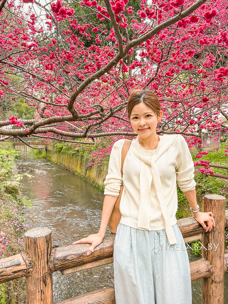 桃園賞櫻『莒光環保公園』櫻花公園、近中壢火車站 @梅格(Angelababy)享樂日記