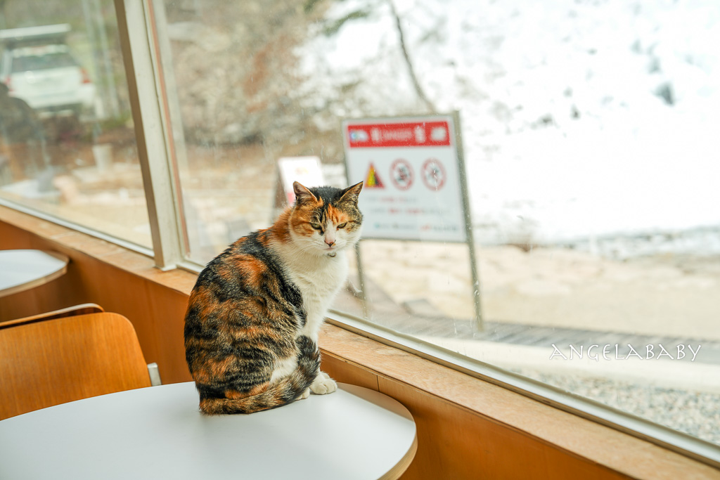 釜山一日遊推薦『青松冰谷』청송 얼음골，巨型冰雕石壁宛如冰雪奇緣電影場景 @梅格(Angelababy)享樂日記