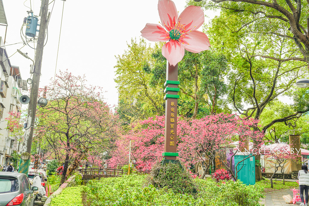 桃園賞櫻『莒光環保公園』櫻花公園、近中壢火車站 @梅格(Angelababy)享樂日記