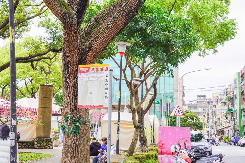 桃園賞櫻『莒光環保公園』櫻花公園、近中壢火車站 @梅格(Angelababy)享樂日記