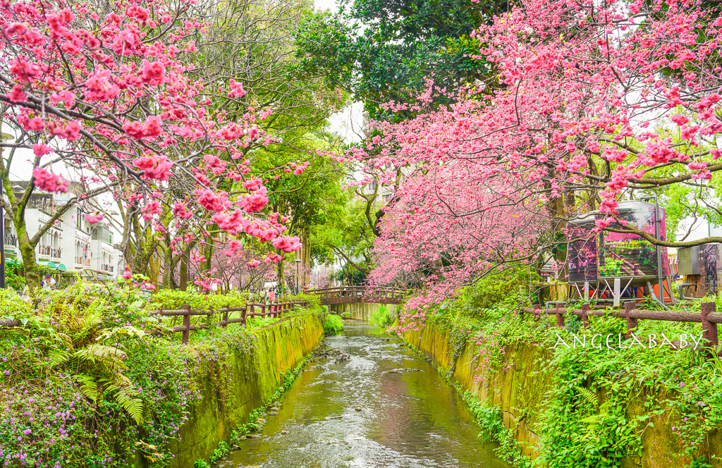 屏東東港黑鮪魚｜華僑市場必吃『 魚莊生魚片 握壽司 丼飯 專門店』價格、華僑市場攤位212、魚莊黑鮪魚 @梅格(Angelababy)享樂日記