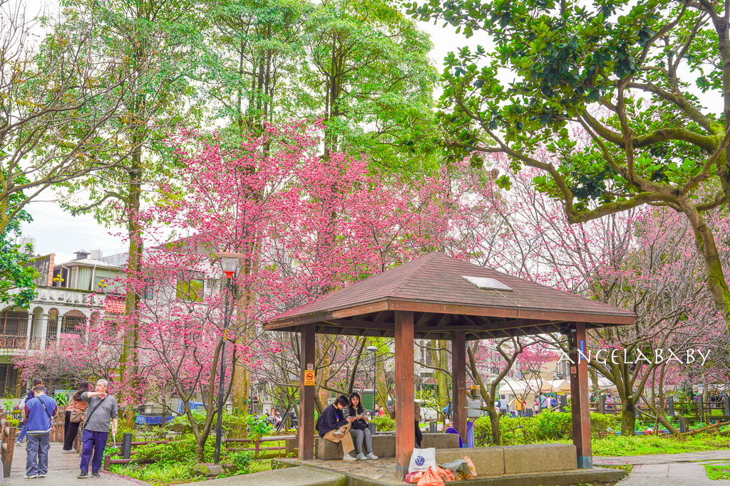 桃園賞櫻『莒光環保公園』櫻花公園、近中壢火車站 @梅格(Angelababy)享樂日記 桃園賞櫻『莒光環保公園』櫻花公園、近中壢火車站 @梅格(Angelababy)享樂日記
