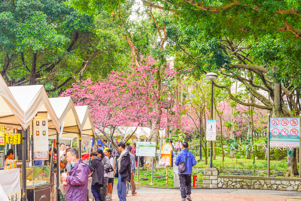 桃園賞櫻『莒光環保公園』櫻花公園、近中壢火車站 @梅格(Angelababy)享樂日記