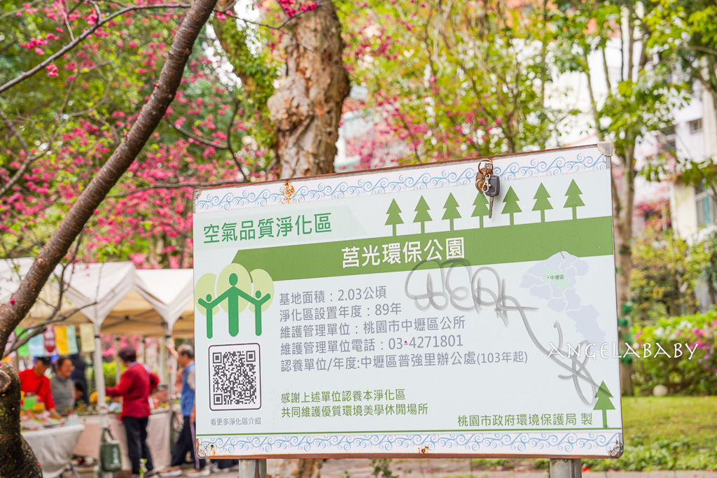 桃園賞櫻『莒光環保公園』櫻花公園、近中壢火車站 @梅格(Angelababy)享樂日記 桃園賞櫻『莒光環保公園』櫻花公園、近中壢火車站 @梅格(Angelababy)享樂日記