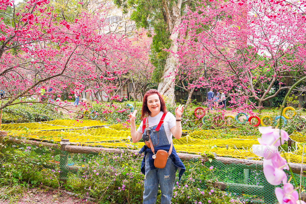 桃園賞櫻『莒光環保公園』櫻花公園、近中壢火車站 @梅格(Angelababy)享樂日記 桃園賞櫻『莒光環保公園』櫻花公園、近中壢火車站 @梅格(Angelababy)享樂日記