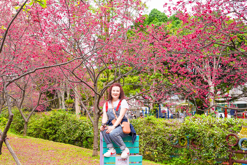 桃園賞櫻『莒光環保公園』櫻花公園、近中壢火車站 @梅格(Angelababy)享樂日記 桃園賞櫻『莒光環保公園』櫻花公園、近中壢火車站 @梅格(Angelababy)享樂日記