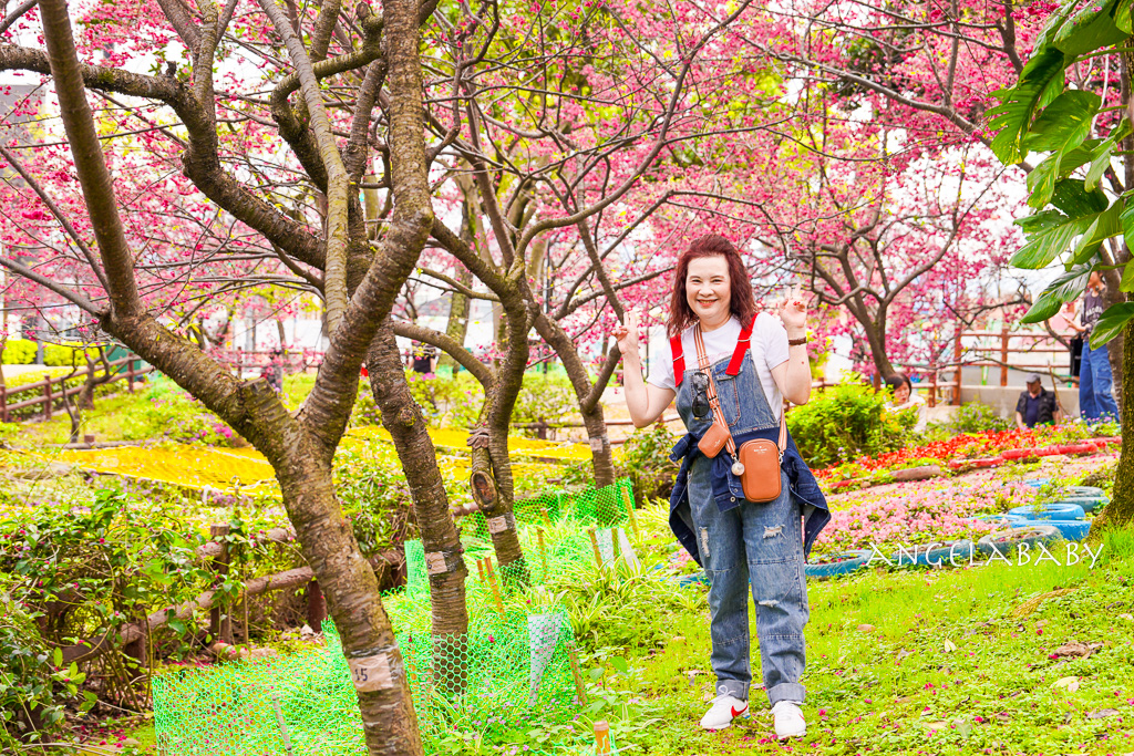 桃園賞櫻『莒光環保公園』櫻花公園、近中壢火車站 @梅格(Angelababy)享樂日記 桃園賞櫻『莒光環保公園』櫻花公園、近中壢火車站 @梅格(Angelababy)享樂日記