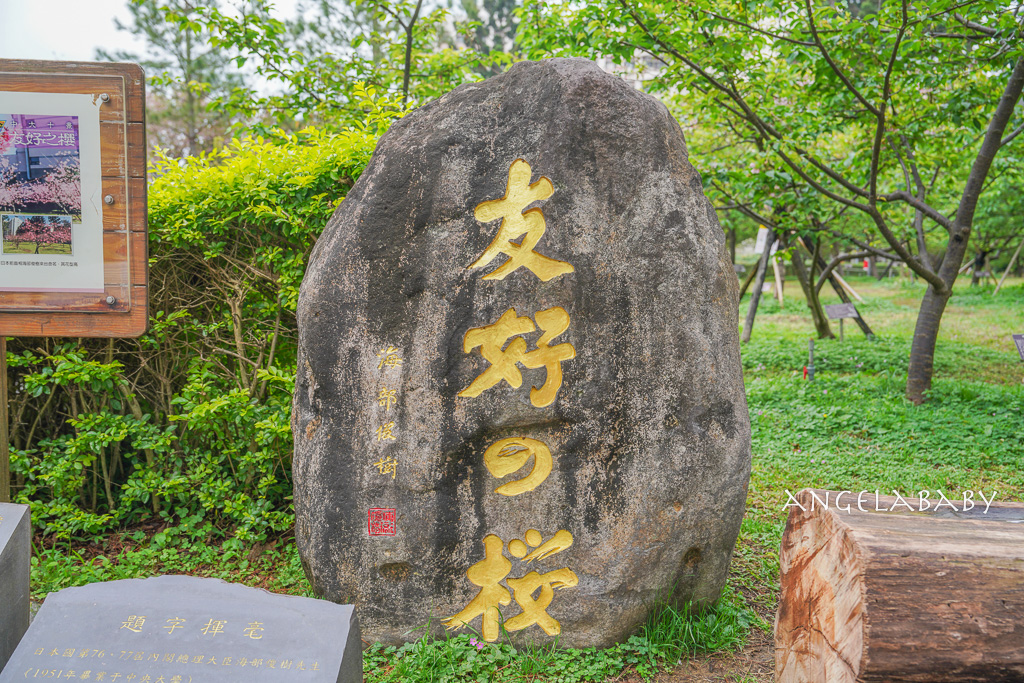 桃園賞櫻推薦『中央大學』中大湖畔的日本友好之櫻 @梅格(Angelababy)享樂日記